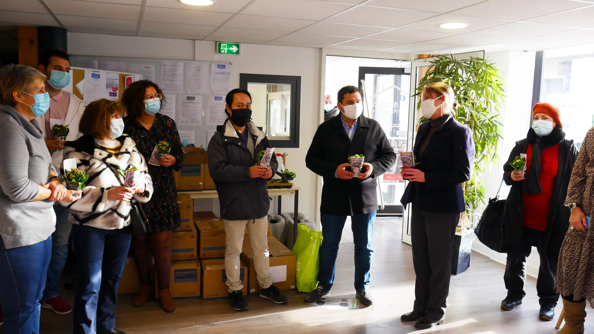 opération plante verte noel seniors - 2 