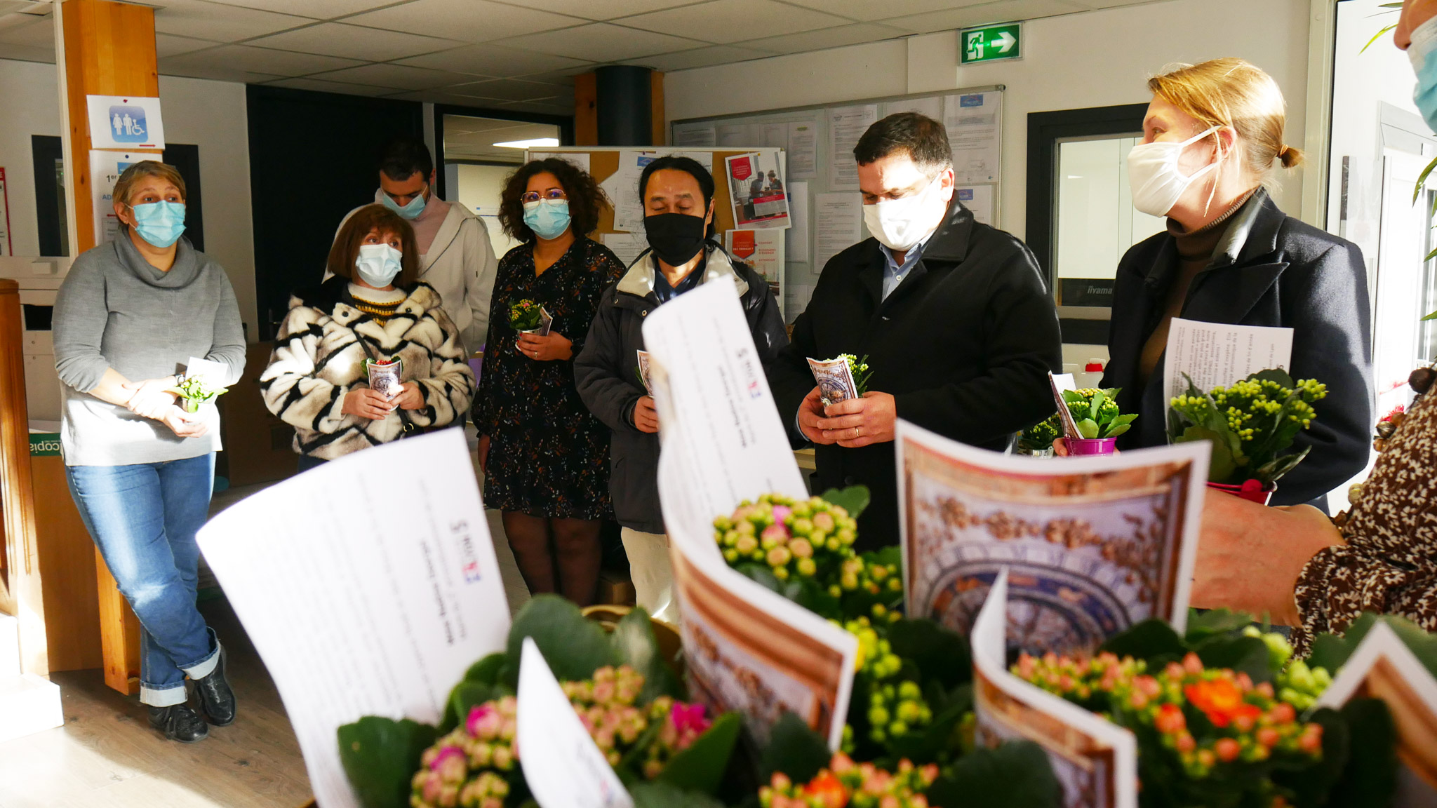 opération plante verte noel seniors - 6 