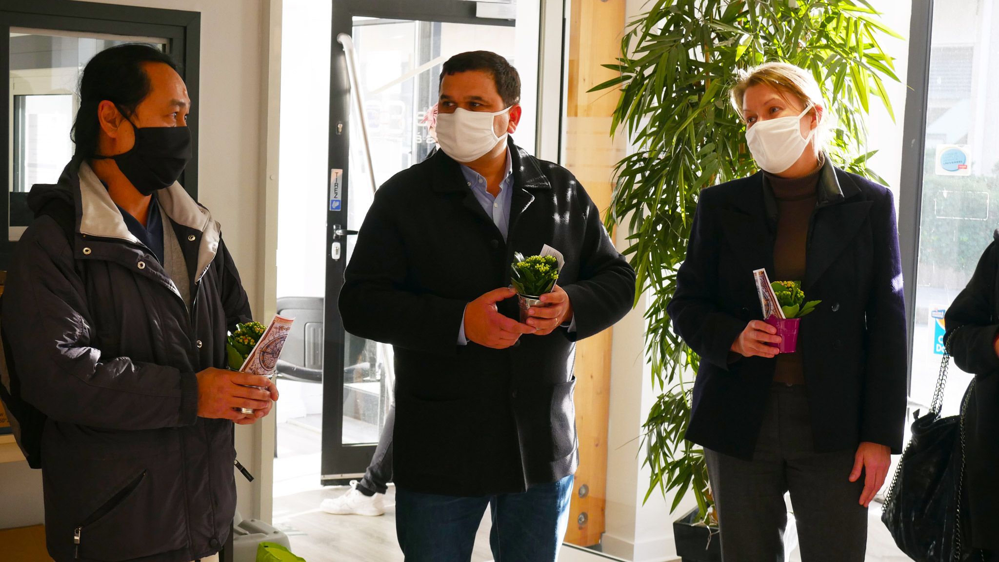 opération plante verte noel seniors - 8 