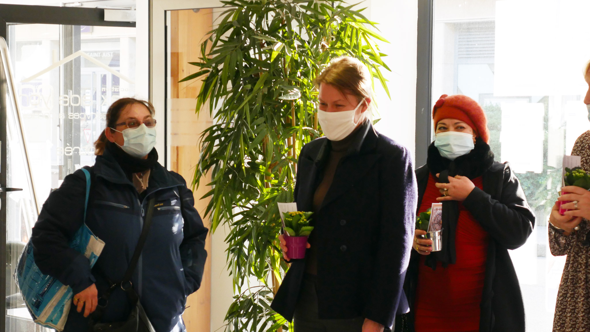 opération plante verte noel seniors - 9 