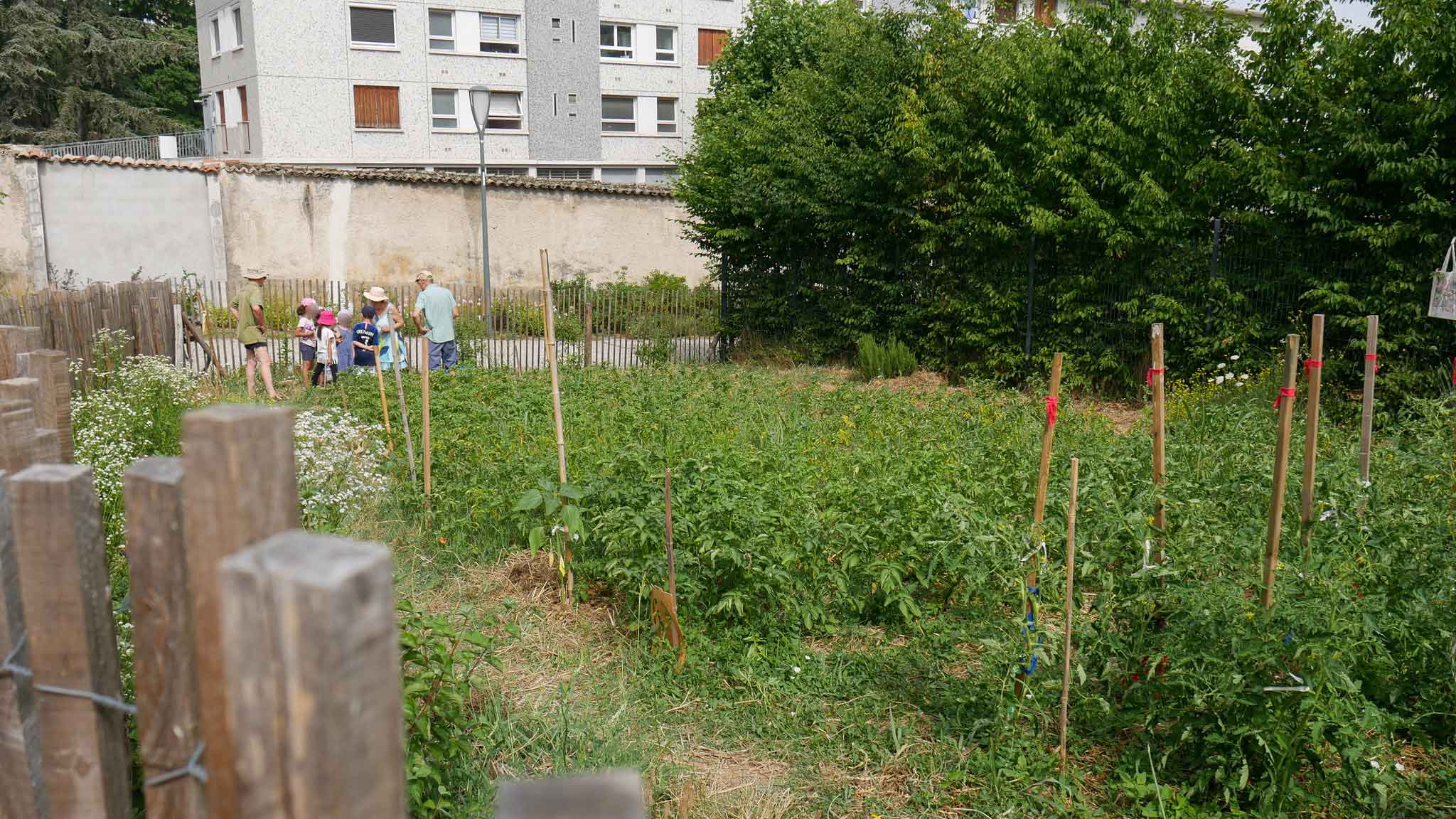 Jardin d'Elise - 11 