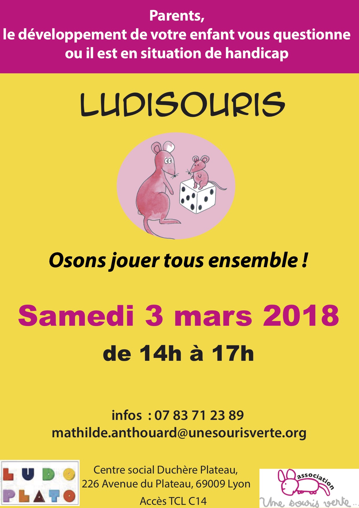 Ludisouris