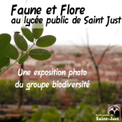 faune et flore lycee saint-just